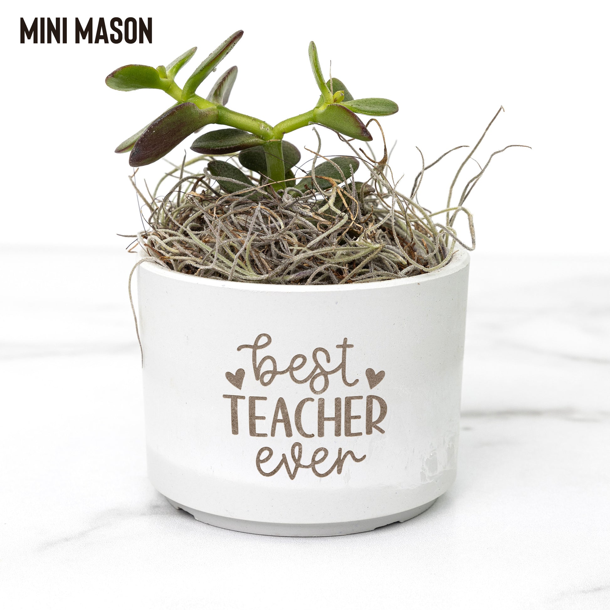 Best Teacher Ever Potted Desk Plant - Mardonyx Office