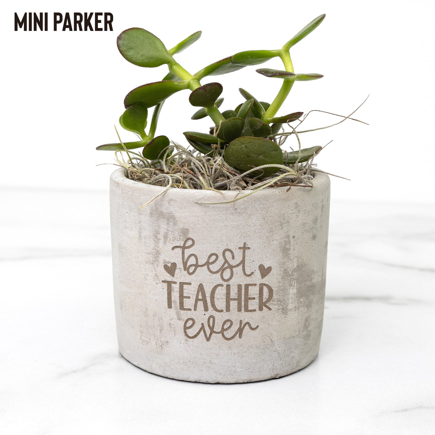 Best Teacher Ever Potted Desk Plant - Mardonyx Office