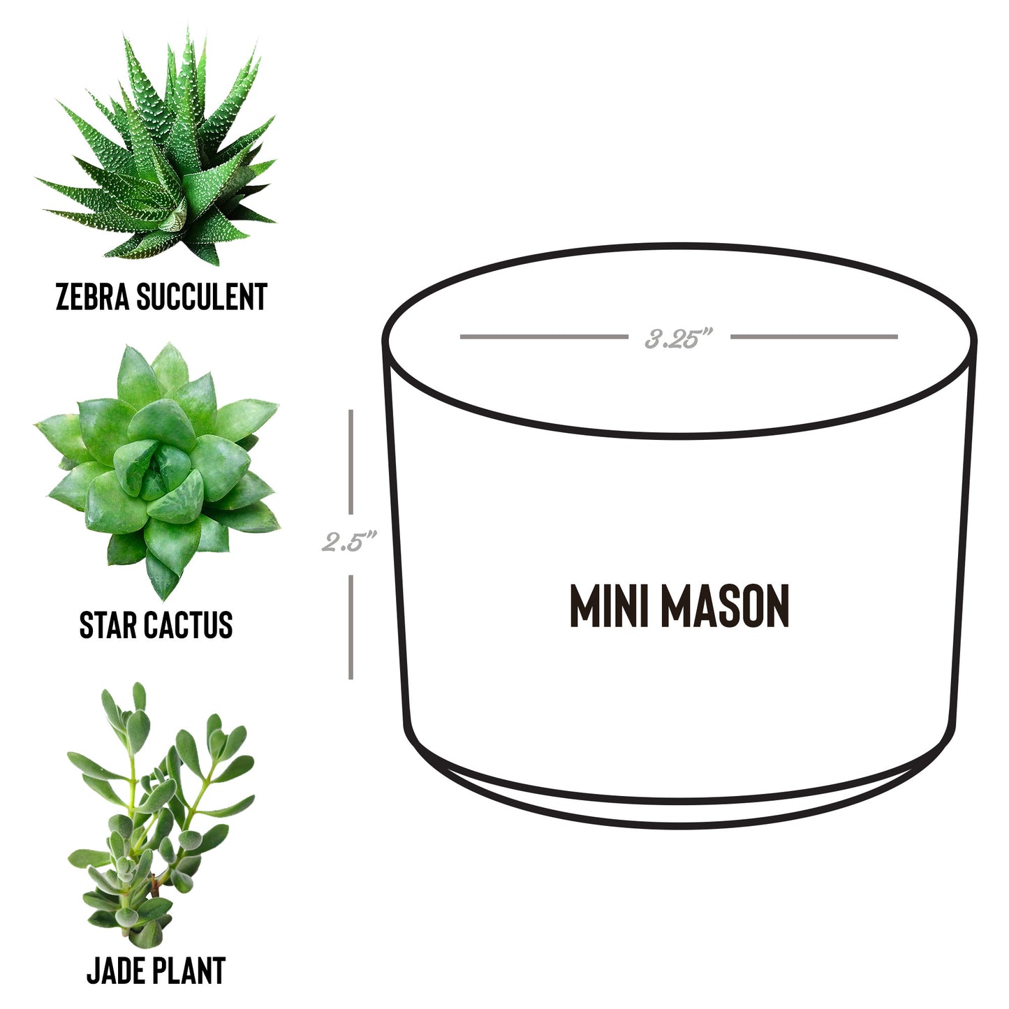 Personalized Thank You For Helping Me Bloom - Personalized Teacher Flower Pot with Plant - Teacher Appreciation Gift