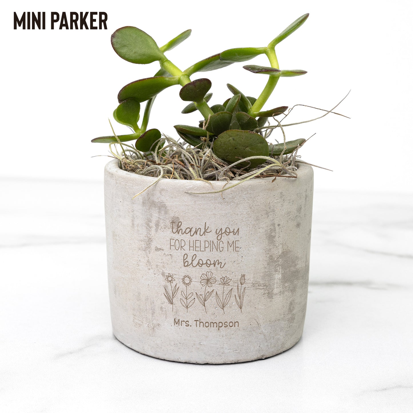 Personalized Thank You For Helping Me Bloom - Personalized Teacher Flower Pot with Plant - Teacher Appreciation Gift