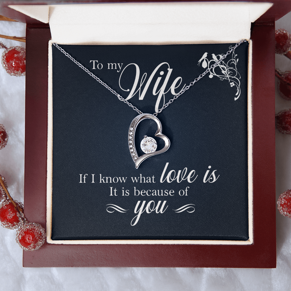 Necklace for Wife, Gifts For Wife Romantic, Wife Birthday Gift Ideas, Necklaces For Wife From Husband, To My Soulmate Necklace For Women,To My Wife Gifts From Husband