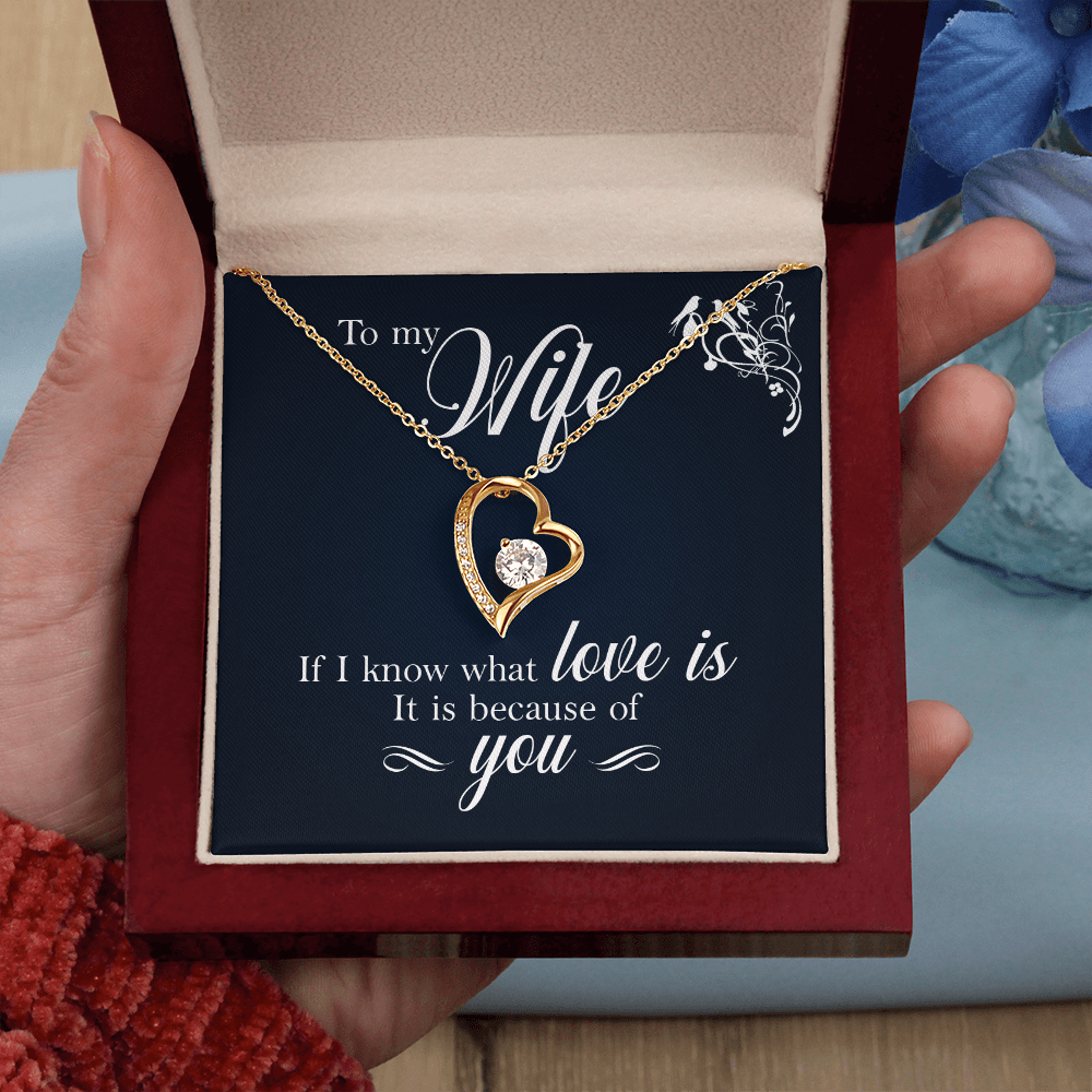 Necklace for Wife, Gifts For Wife Romantic, Wife Birthday Gift Ideas, Necklaces For Wife From Husband, To My Soulmate Necklace For Women,To My Wife Gifts From Husband