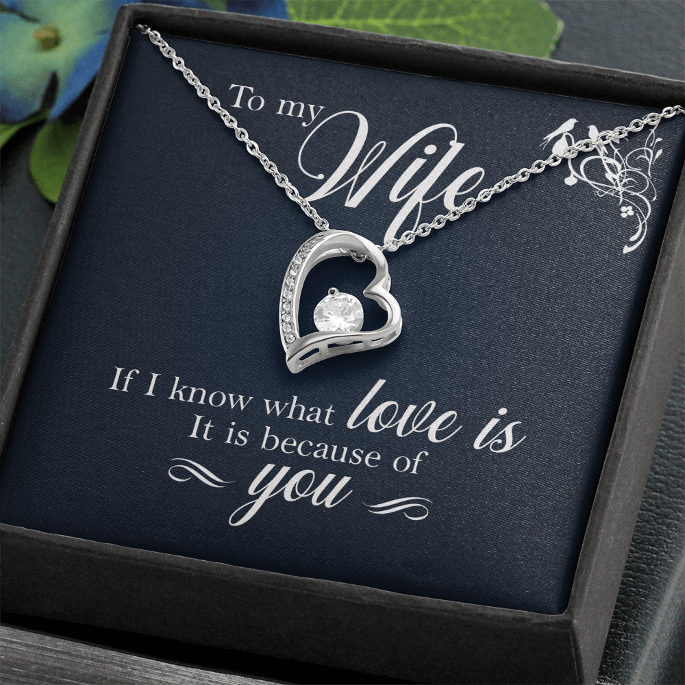 Necklace for Wife, Gifts For Wife Romantic, Wife Birthday Gift Ideas, Necklaces For Wife From Husband, To My Soulmate Necklace For Women,To My Wife Gifts From Husband