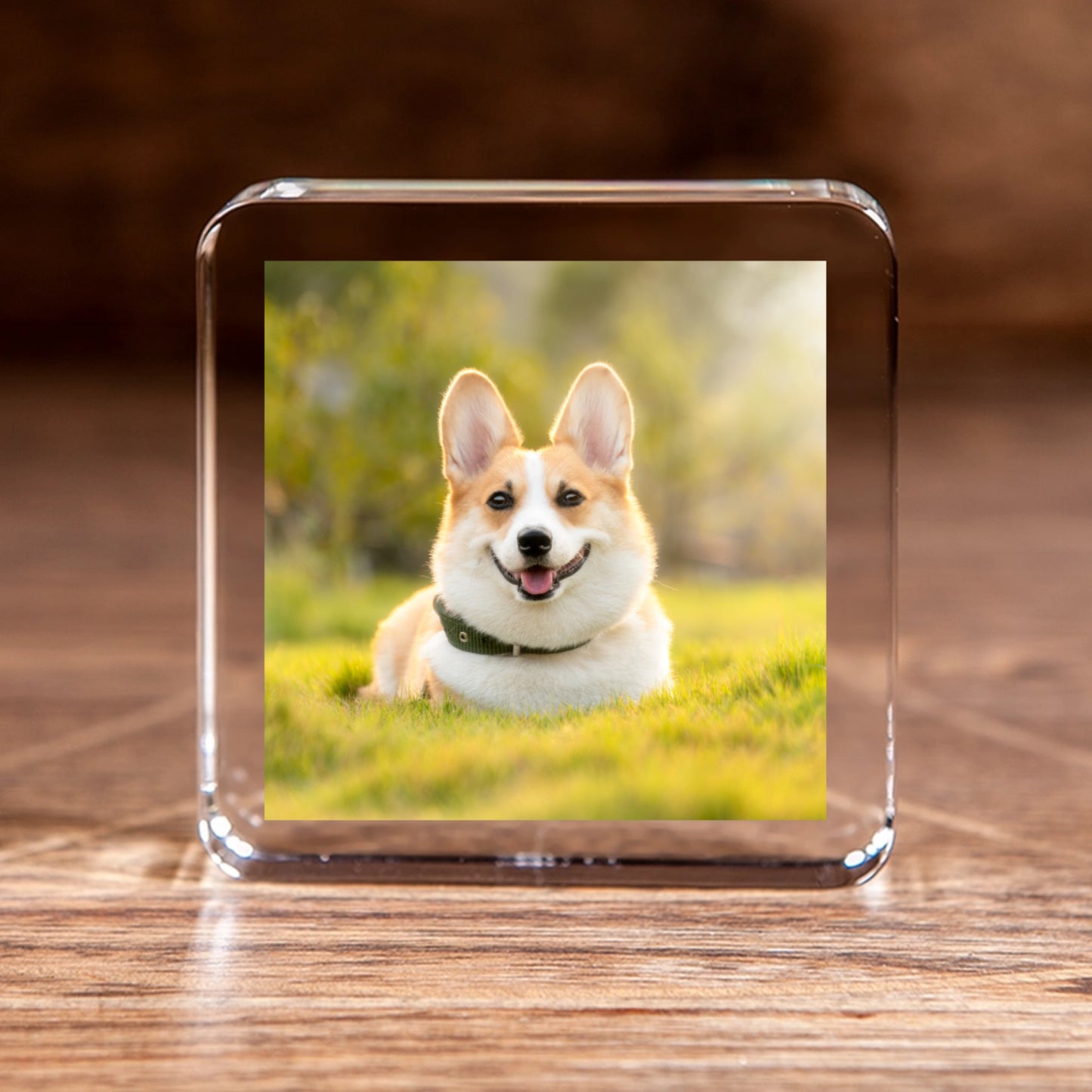 Custom Crystal Photo Square – Upload Your Dog or Loved One’s Picture