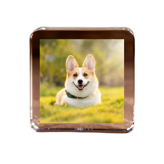 Custom Crystal Photo Square – Upload Your Dog or Loved One’s Picture