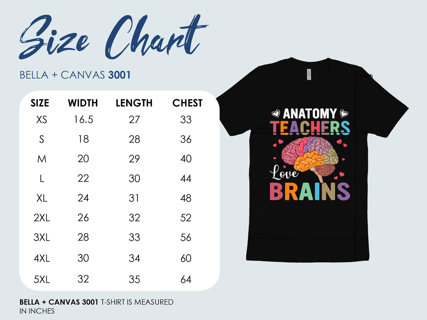 Anatomy Teachers Brain T-Shirt, Teacher Tee, Teacher Shirt, Gift for Teacher, Anatomy Brain Shirt, Funny Teacher Shirt, Teacher Gift - Mardonyx T-Shirt