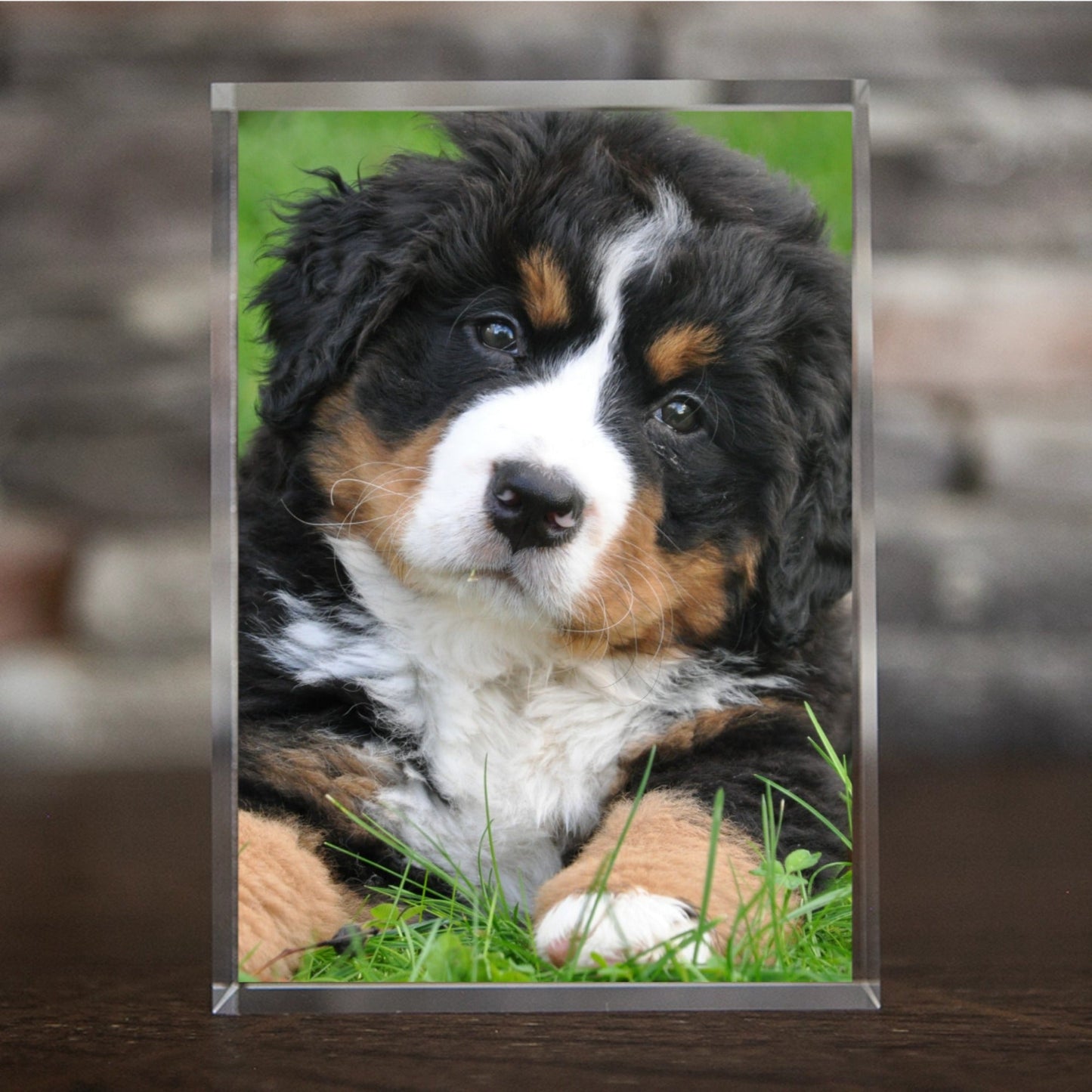 Dog Lover Acrylic Frame
