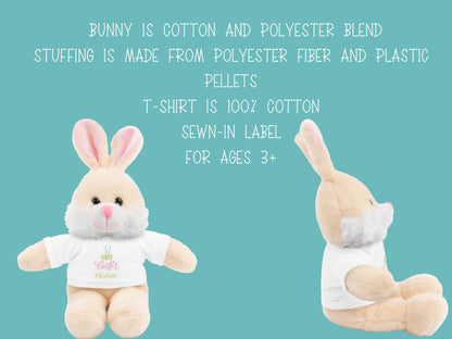 Personalized Easter Bunny, My First Easter Bunny,Personalized Bunny, Baby Easter Gift, Stuffed Easter Bunny,Personalized Rabbit, Kids Easter